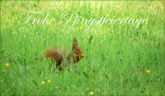 Pfingstsonntag Pfingstsonntag