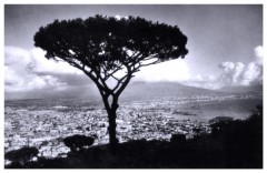 Blick auf Neapel