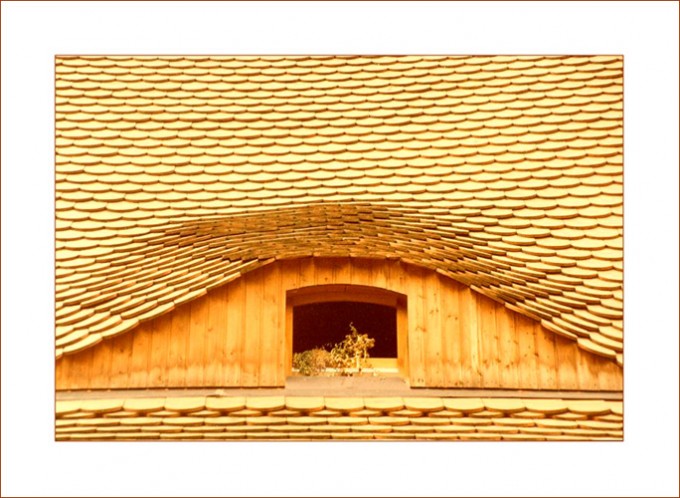 Sonnenlicht auf Dachschindeln