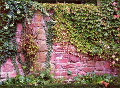 Romantische Mauer