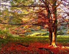 Novemberimpression Novemberimpression