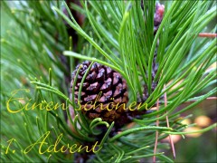 1. Advent 1. Advent