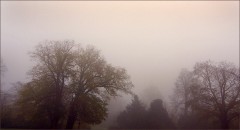 Morgennebel Morgennebel