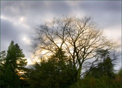 Morgens um 8 Uhr... Morgens um 8 Uhr...