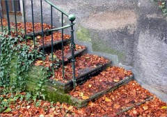 Treppenaufgang Treppenaufgang