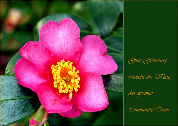 Heute wird Klaus operiert