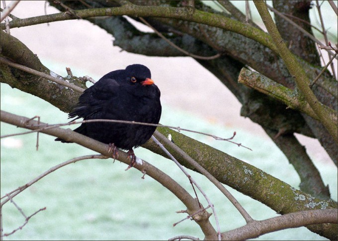 Brrrrrr...mir ist kalt