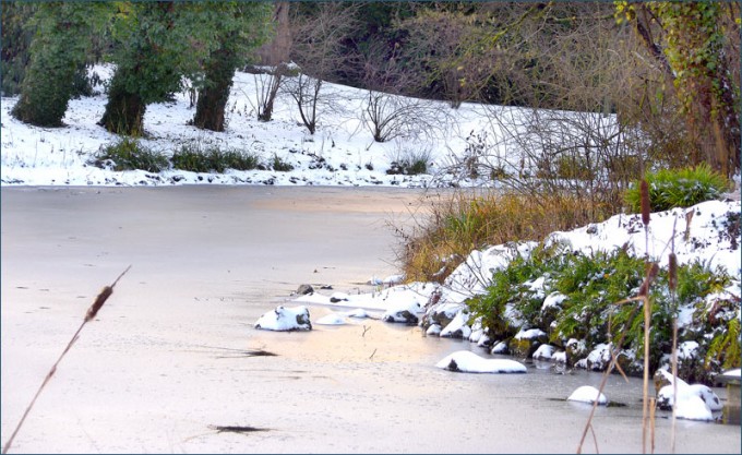 Winterteich