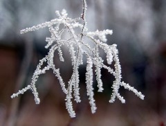 Glitzernde Eiskristalle