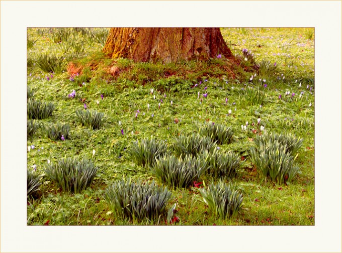 Es spriesst überall