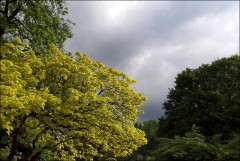 Regenwolken Regenwolken