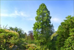 Sommeranfang ist heute Sommeranfang ist heute