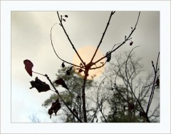 Sonnenaufgang Sonnenaufgang