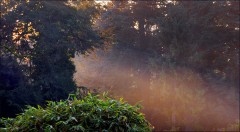 Sonnenlicht Sonnenlicht