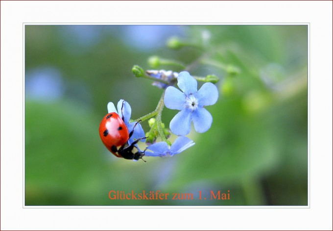 1. Mai