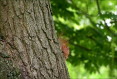 Blickkontakt Blickkontakt