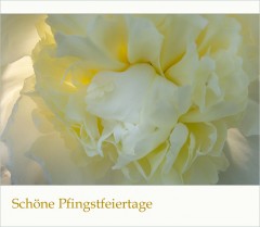 Pfingstgrüße Pfingstgrüße