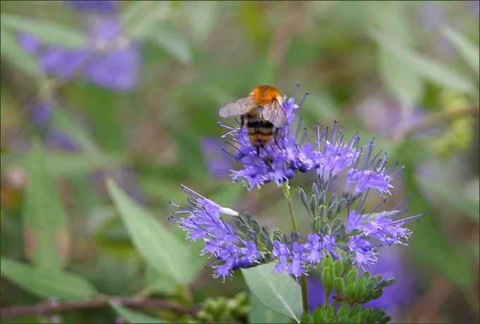 Eine der Letzten dieses Jahr
