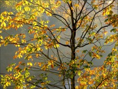 Oktobersonne Oktobersonne