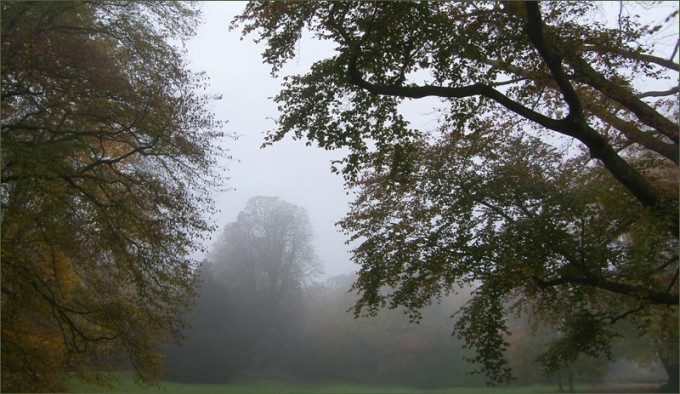 Novembernebel