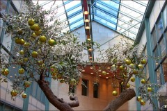 Weihnachtsdekoration Weihnachtsdekoration