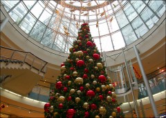 Christbaum Christbaum