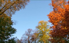 Herbstmorgen Herbstmorgen