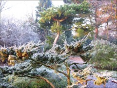 Morgenlicht Morgenlicht