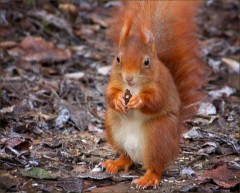 Digitalcamera Digitalcamera