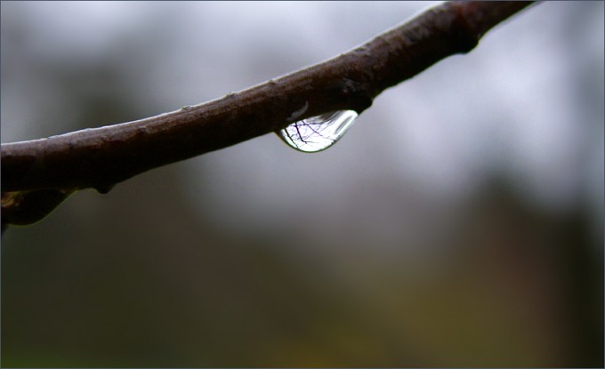 Regentropfen