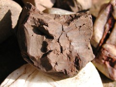 Steingesicht Steingesicht