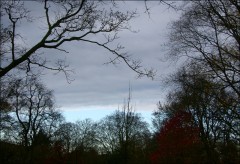 Grauer Novembermorgen