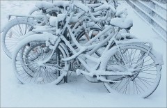 Eingeschneit Eingeschneit