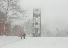 Schneefall Schneefall