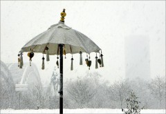 Sommerschirm Sommerschirm