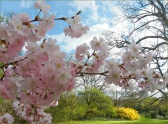 Frühlingsimpression