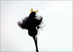 Treffpunkt Treffpunkt