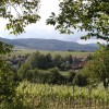 Das Weindorf im Tal