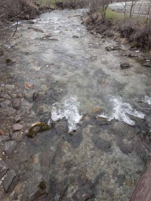 Wo der wildbach rauscht