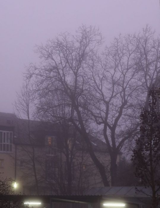 Violetter nebel
