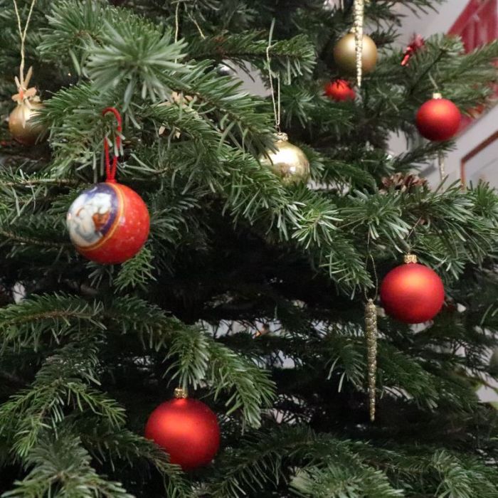 Weihnachtsbaum