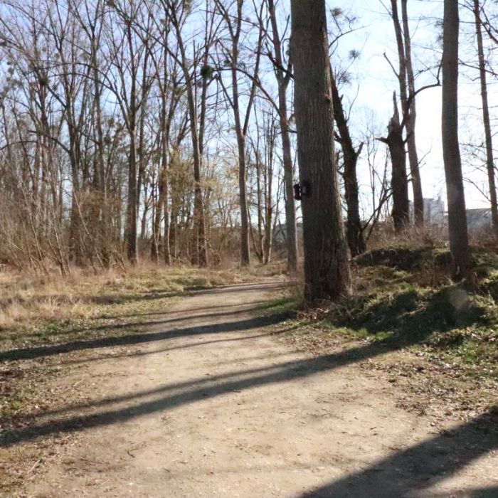 Frühlingswanderungsweg