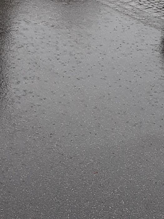 Regen ... belebt die sinne