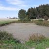 Weiher ausgetrocknet