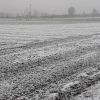 Leise rieselt der schnee