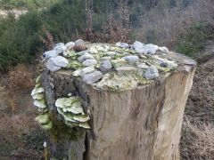 Meditation Meditation