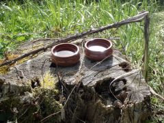 Vogeltränken Vogeltränken