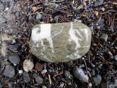 Kieselstein bei Regen Kieselstein bei Regen