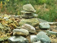 Meditation Meditation