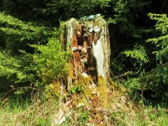 Meditation Meditation